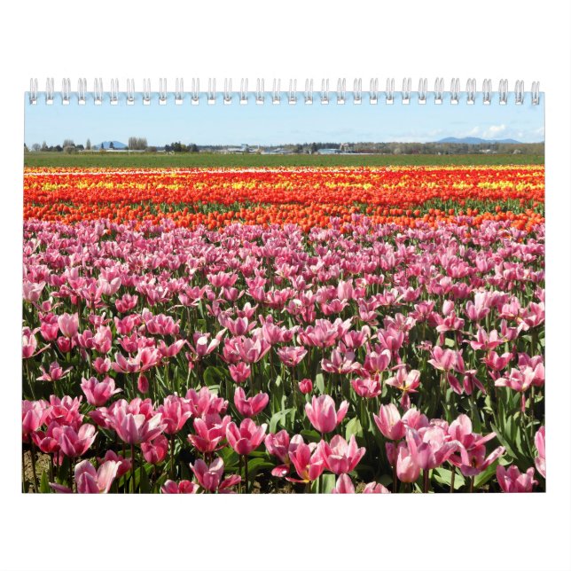 Kalender (Titelbild)