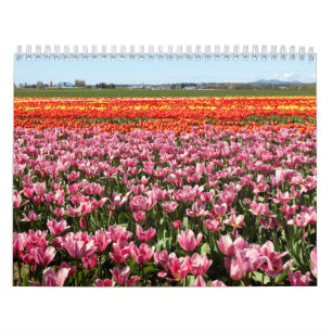 Kalender