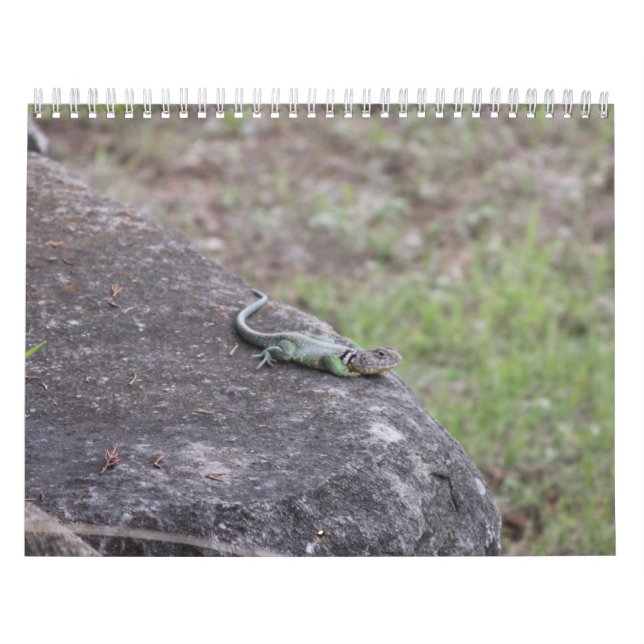 Kalender (Titelbild)