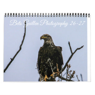 Kalender