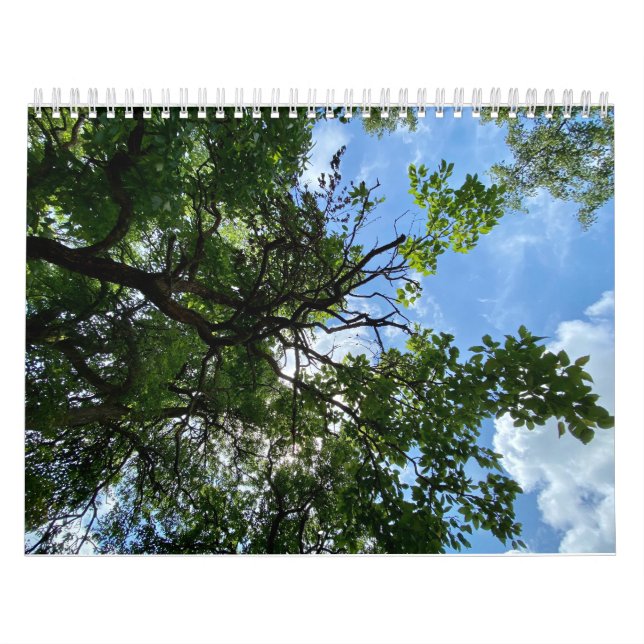 Kalender (Titelbild)