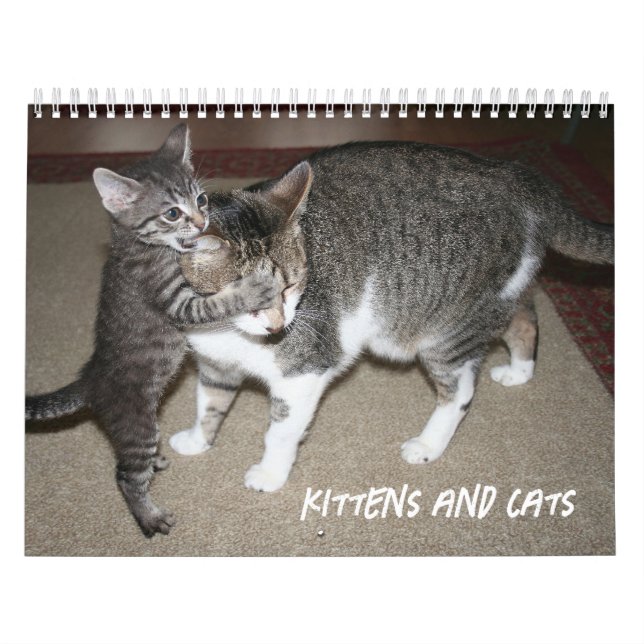 Kalender (Titelbild)