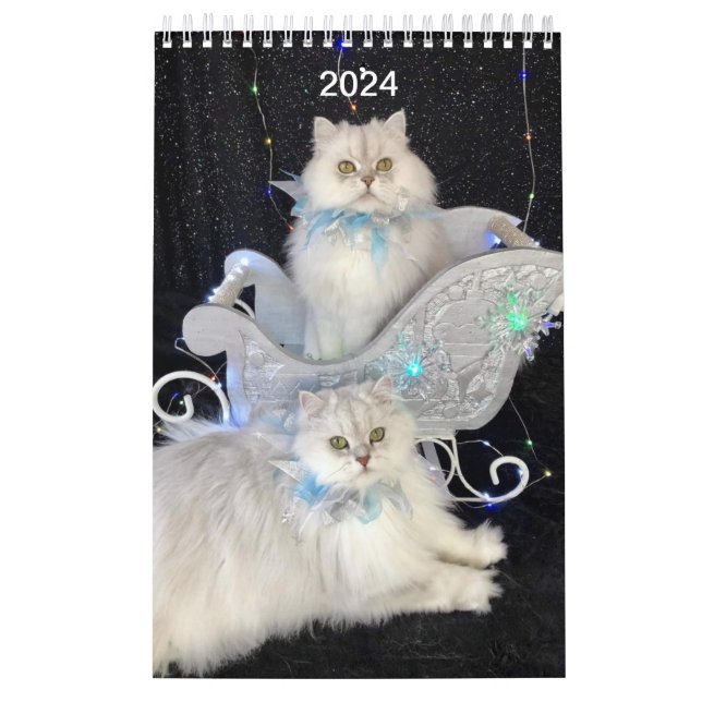 Kalender (Titelbild)