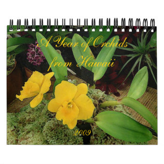 Kalender 2009: Ein Jahr der Orchideen von Hawaii