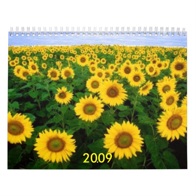 Kalender, 2009 kalender (Titelbild)