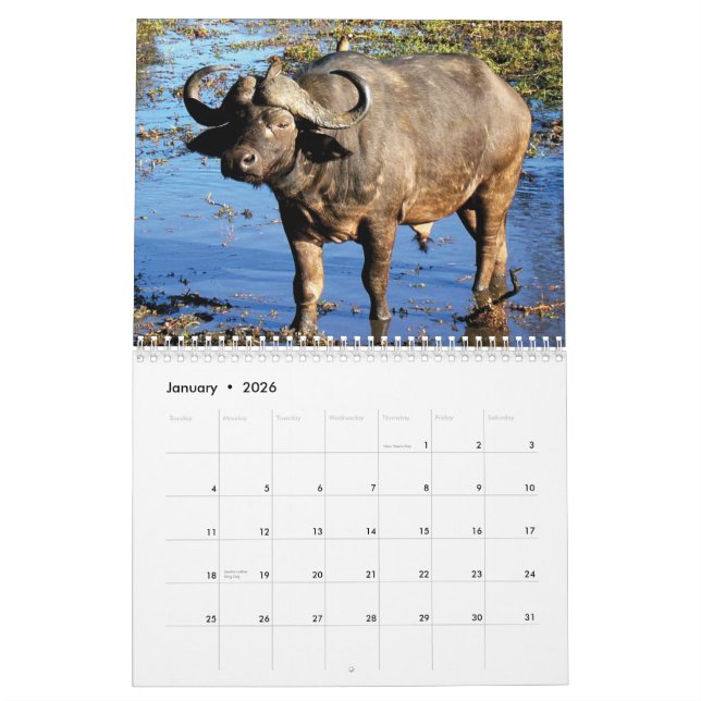 Kalender 2011 - Freie Spirituosen (Jan 2026)