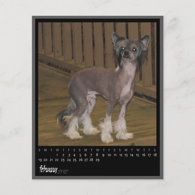 Kalender 2012 (Vorderseite)