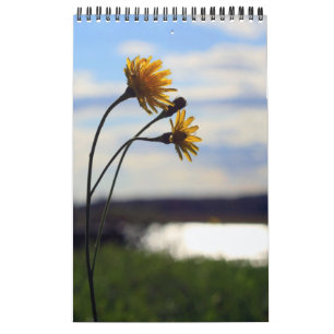 Kalender 2012