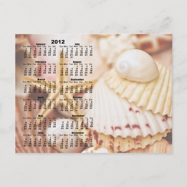 Kalender 2012 - Seashell Postkarte (Vorderseite)