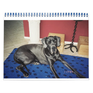 Kalender 2012 van SundayStyle Edition