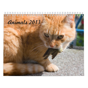 Kalender 2013