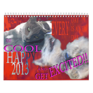 KALENDER 2013, LUSTIGE HAUSTIER-GRAFIKEN,