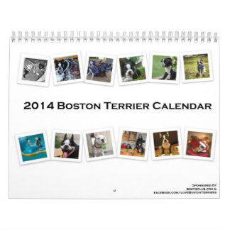 Kalender 2014 Bostons Terrier