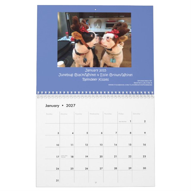 Kalender 2015 Bostons Terrier (Jan 2027)
