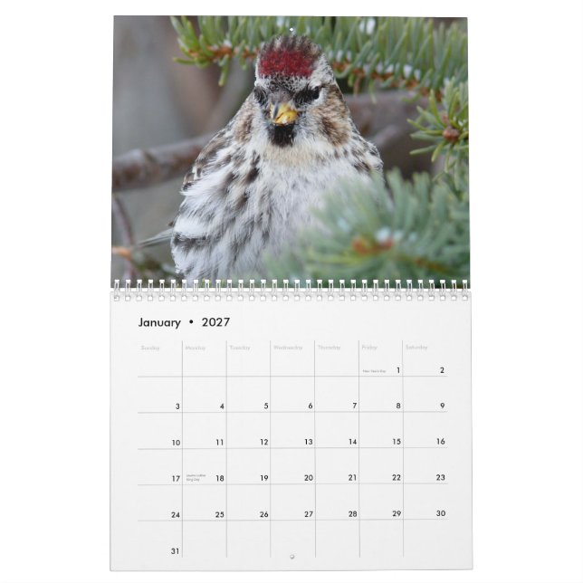 Kalender 2015 der kleinen Vögel (Jan 2027)