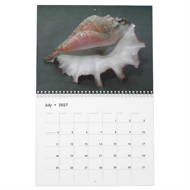 Kalender 2017 der Muscheln (Jul 2027)