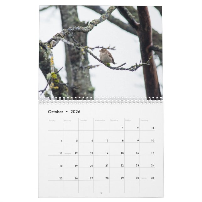 Kalender 2017 durch Barbara-Abgabe (Okt 2026)