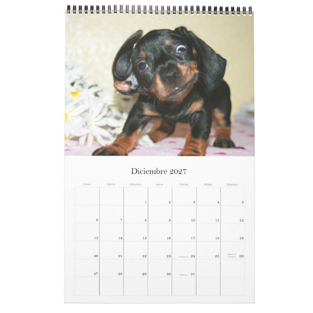 Kalender 2017 Puppy Dachshunds (Dez 2027)
