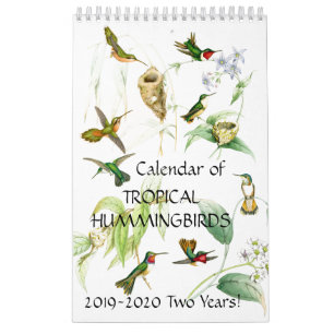 Kalender 2020 des Kolibri-Vogel-Blumen-Tier-2019