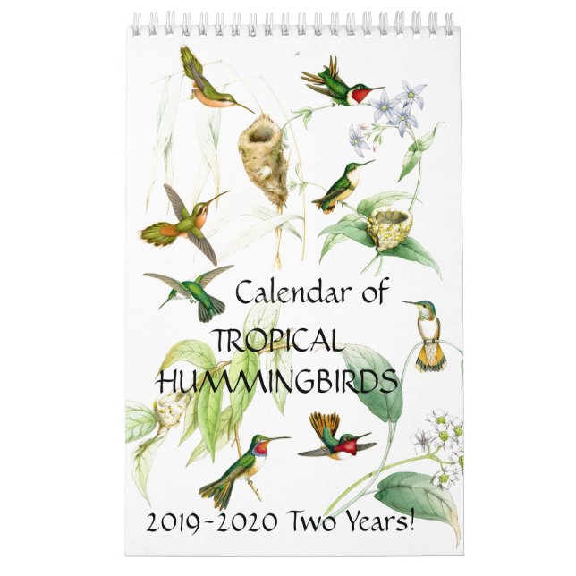 Kalender 2020 des Kolibri-Vogel-Blumen-Tier-2019 (Titelbild)