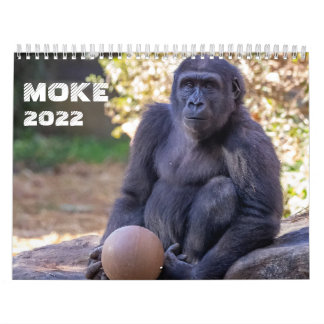 Kalender 2022