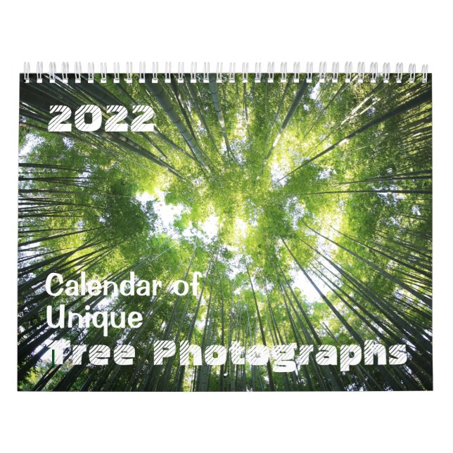 Kalender 2022 Einmalige Baumfotografien individuel (Titelbild)