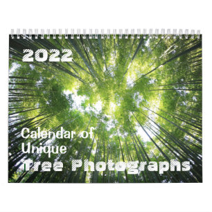 Kalender 2022 Einmalige Baumfotografien individuel