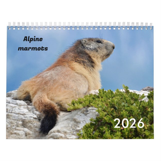 Kalender 2023 (Titelbild)