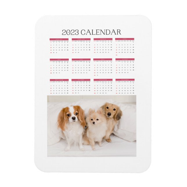 Kalender 2023 Süßhunde Magnet (Vertikal)