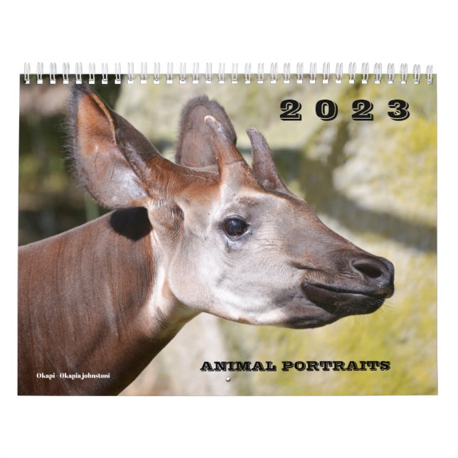 Kalender 2023 Tierportraits (Titelbild)
