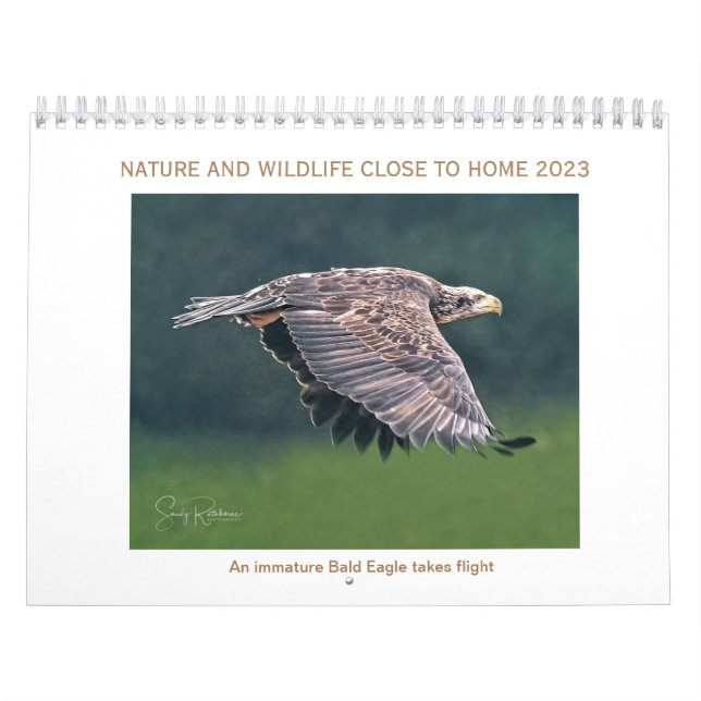 Kalender 2023 wild lebende Tiere und Pflanzen (Titelbild)