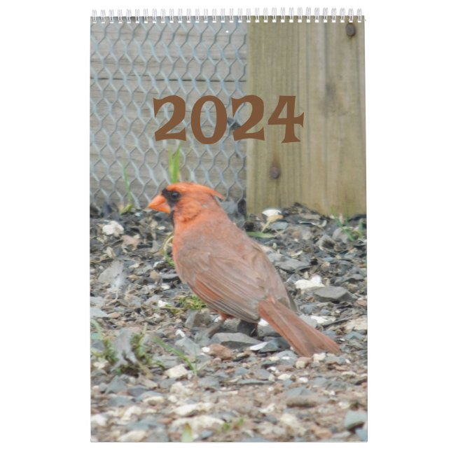 Kalender 2024 Vogelarten im Hinterhof (Titelbild)