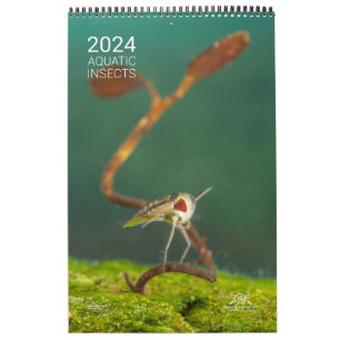 Kalender 2024 - Wasserinsekten