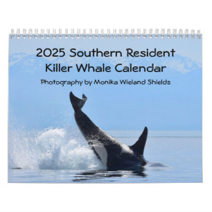 Kalender 2025 für den südlichen Killerwal