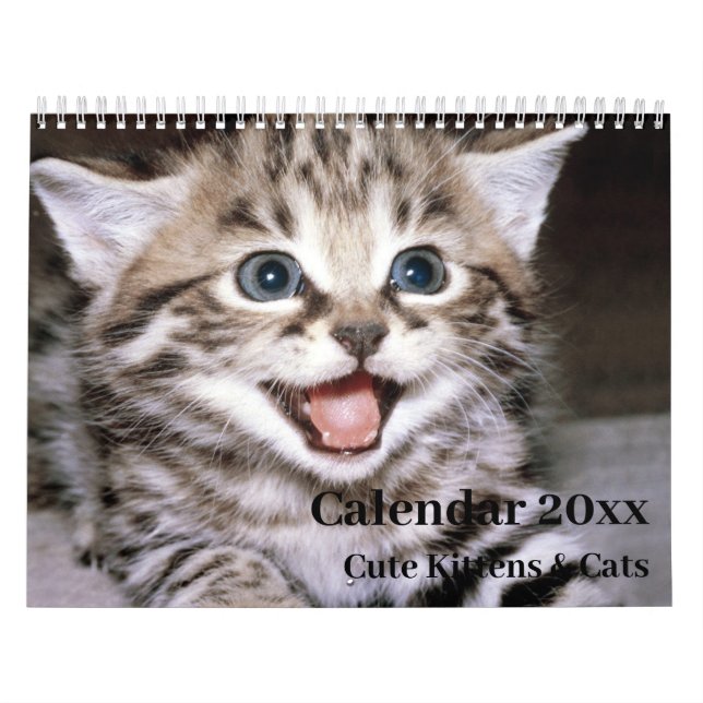 Kalender 20xx - Niedliche Kätzchen und Katzen (Titelbild)