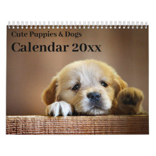 Kalender 20xx - Süße Welpen und Hunde