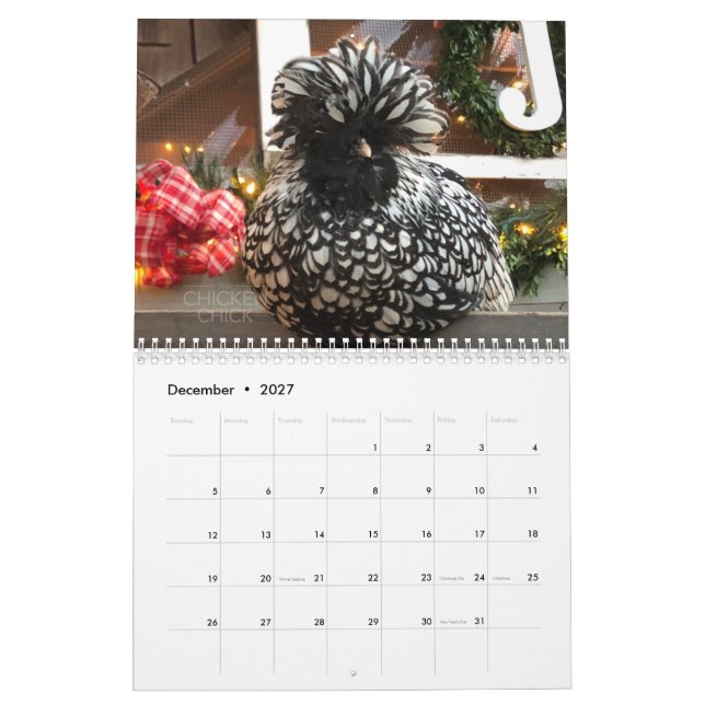 Kalender 3: Die Menge des Huhn-Kükens (Dez 2027)