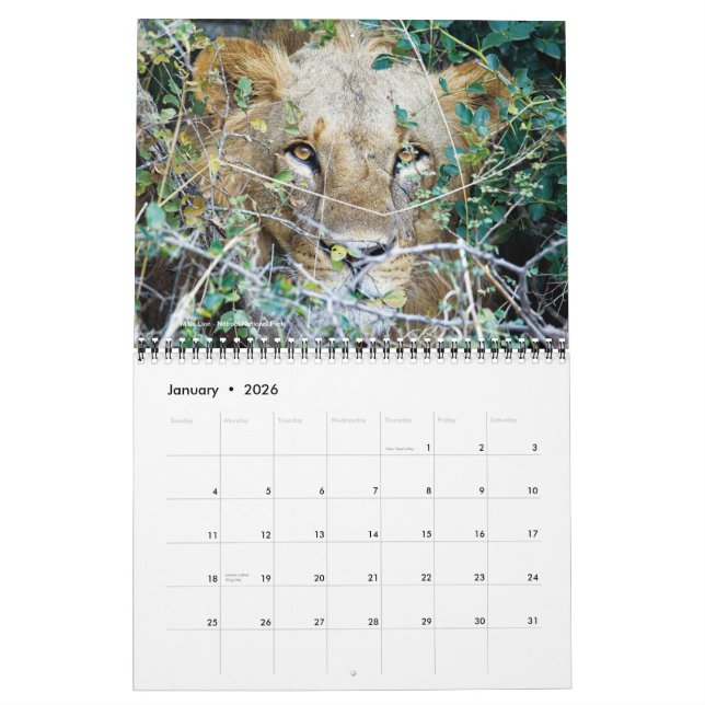 Kalender - Afrika auf Safari (Jan 2026)