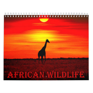 Kalender afrikanische Tierwelt