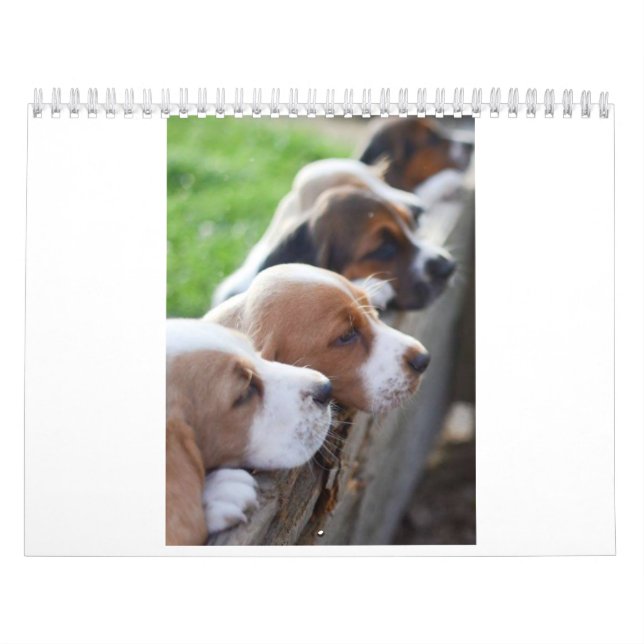 Kalender Basset 2019 (Titelbild)