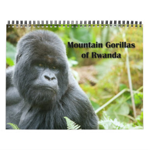 Kalender - Berggorillas von Ruanda