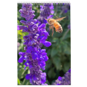 Kalender-Bestäuber: Bienen und Schmetterlinge Kalender