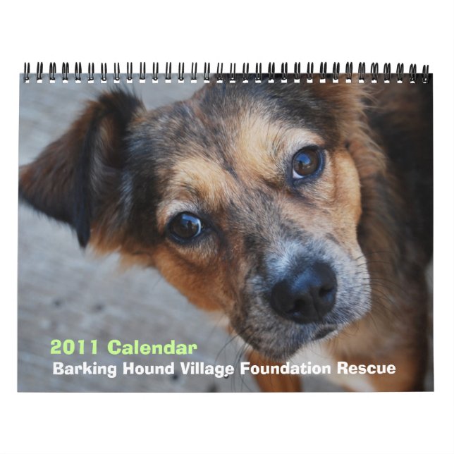 Kalender BHVF Rettungs-2011 (Titelbild)