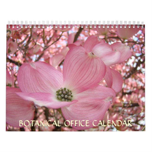 KALENDER-Blume des BOTANISCHEN BÜRO Kalender (Titelbild)