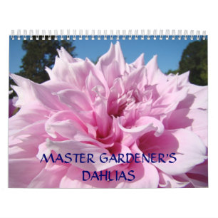 KALENDER BLUMENPracht Meister Gärtner's Dahlien Ge