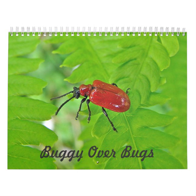 Kalender - Buggy über Bugs (Titelbild)
