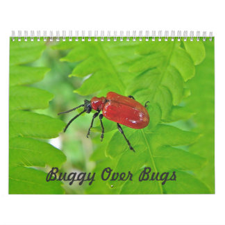 Kalender - Buggy über Bugs