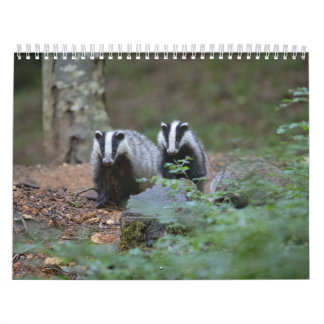 Kalender Calendar Badgers Forest