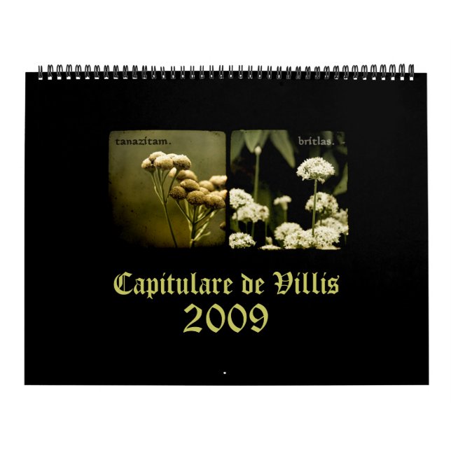 Kalender Capitulare de Villis 2009 (Titelbild)