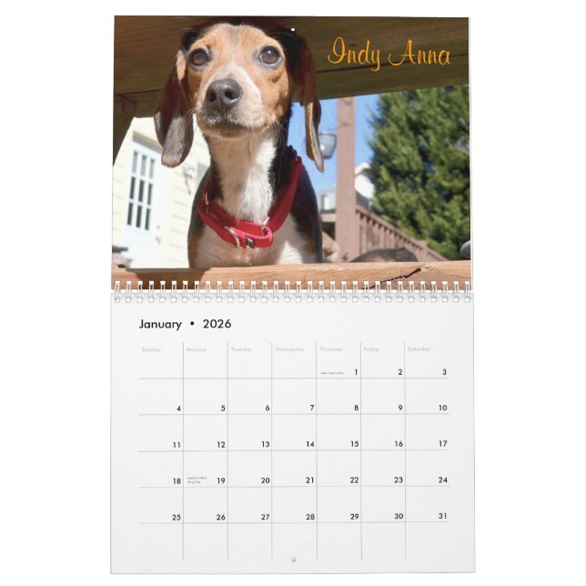 Kalender der Atlanta-Beagle-Rettungs-2015 (Jan 2026)